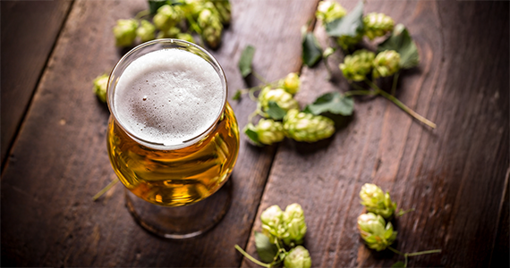 Verre de bière vu de dessus avec du houblon posé sur le côté.